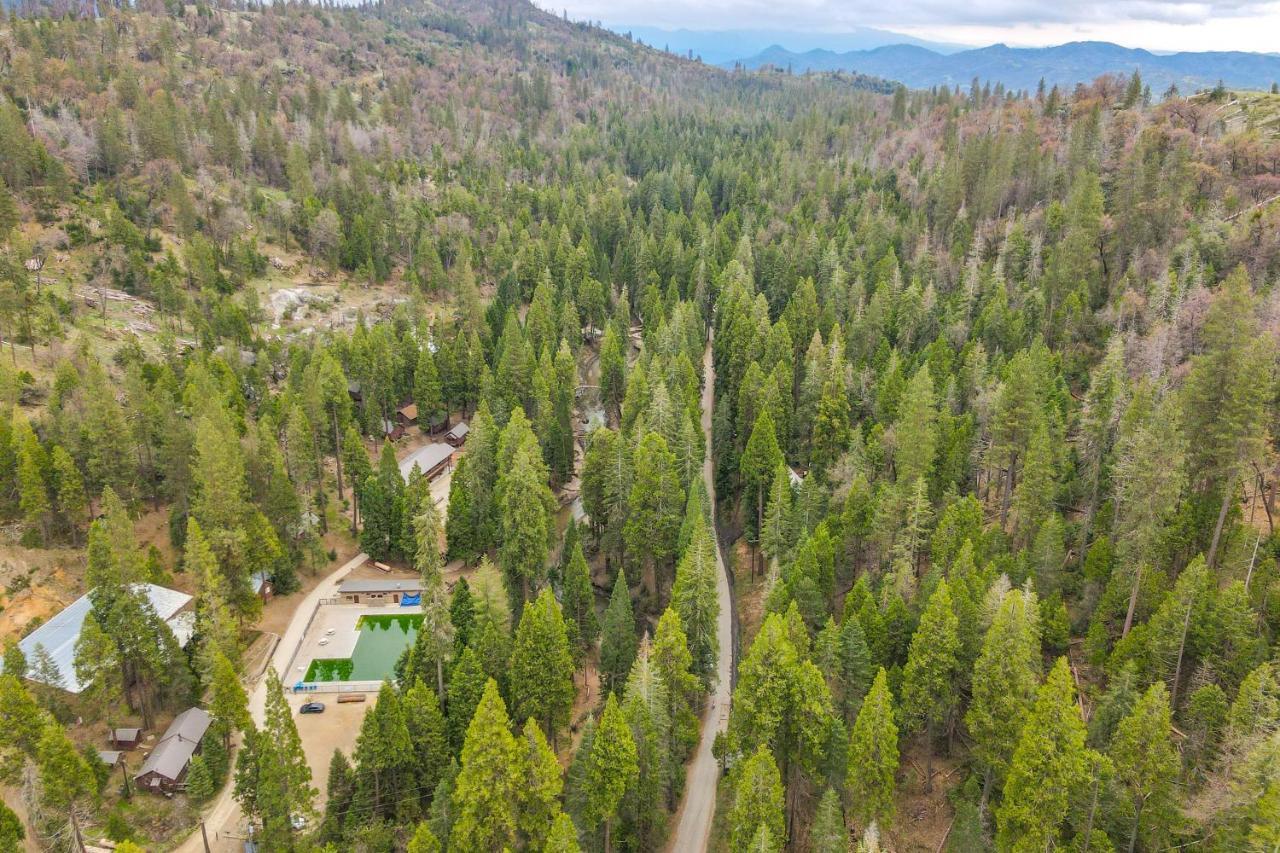 Enchanting Creekside Cabin Near Kings Canyon Park! Badger Екстериор снимка